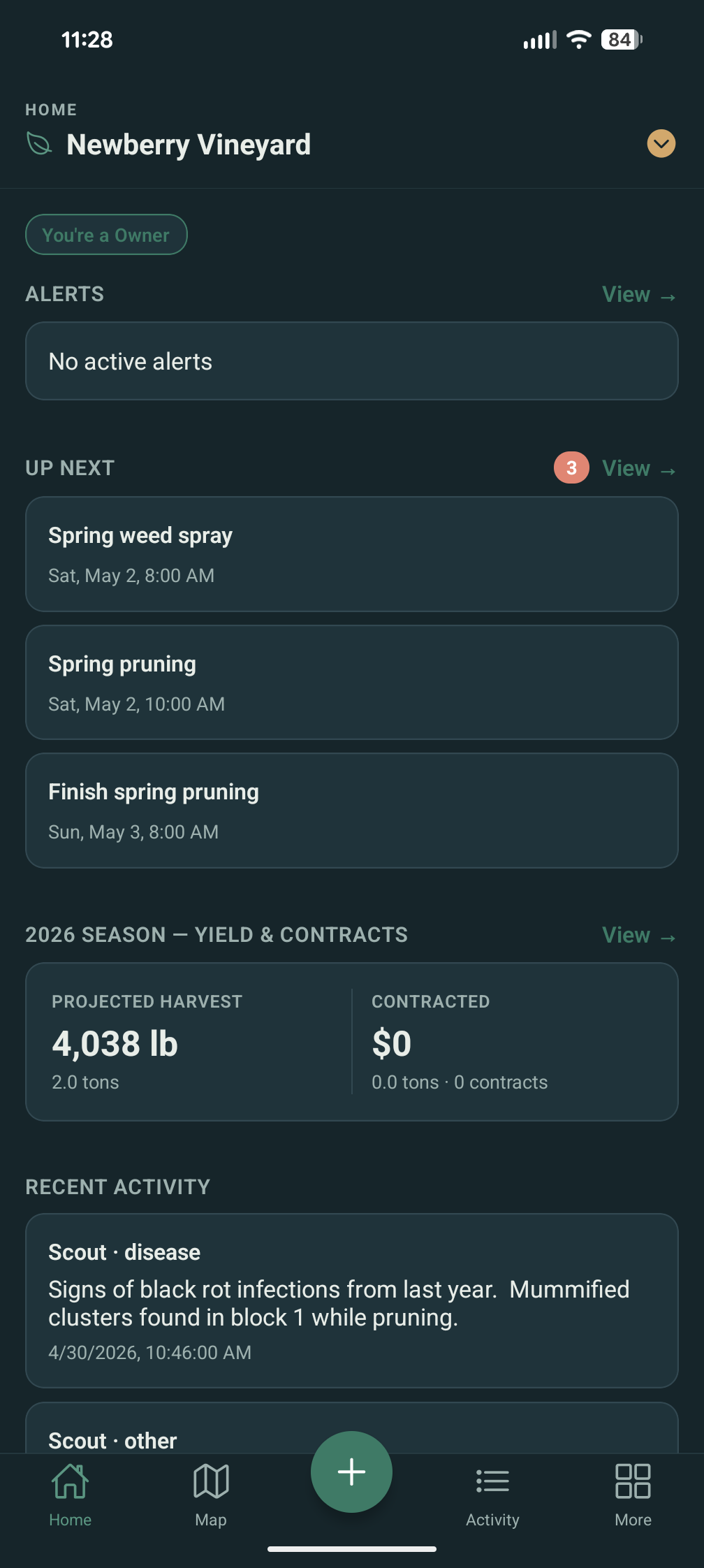 Vinifera home screen showing alerts, upcoming spray and pruning tasks, harvest projection, and recent scouting activity